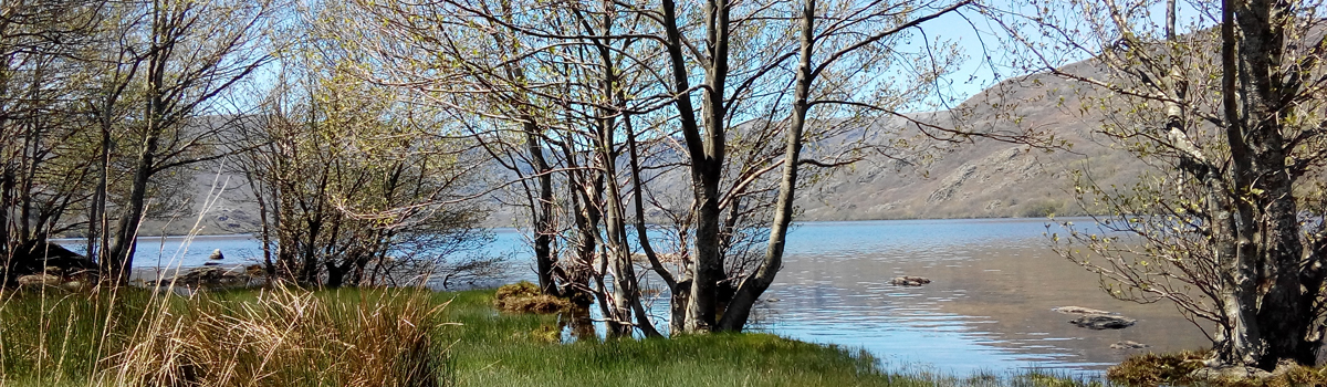 Lago de Sanabria, Atracción Natural